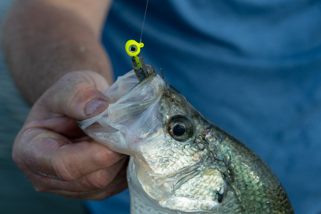 Best Crappie Jig Colors for Clear, Stained, and Muddy Water