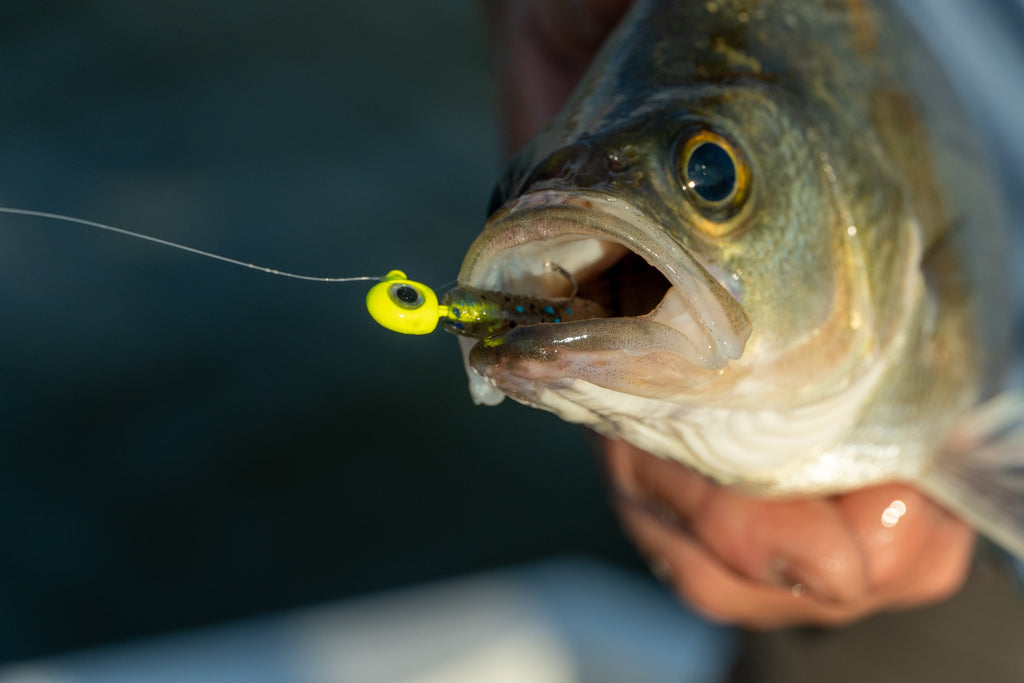 Crappie Plastics: Tips for Using Soft Baits Effectively