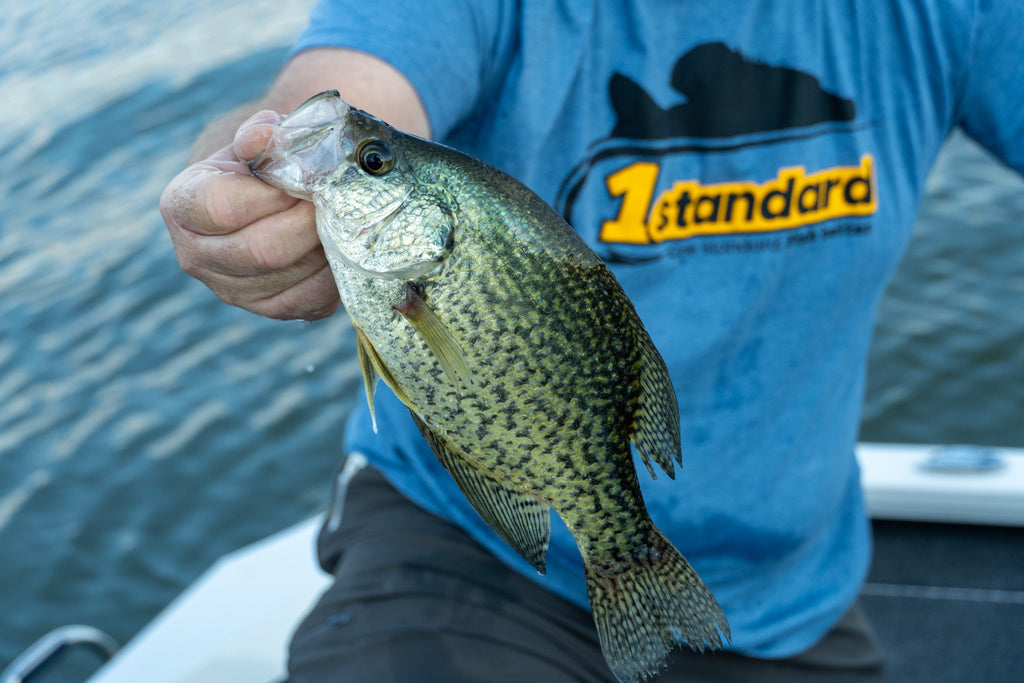What Do Crappie Eat? A Complete Guide to Crappie Diet, Prey Types & Fishing Tactics