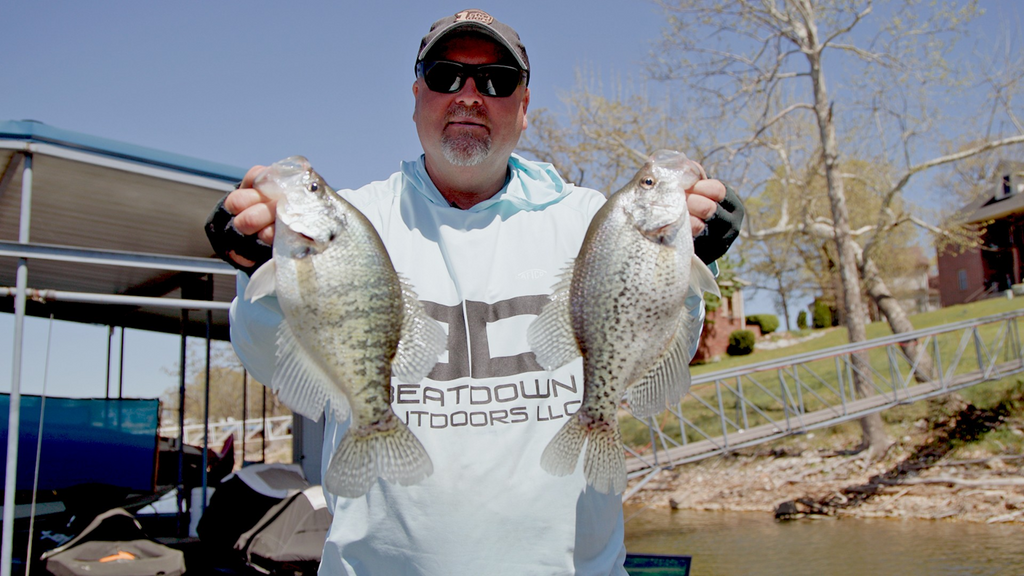 White Crappie vs Black Crappie: How to Tell the Difference and Catch Both
