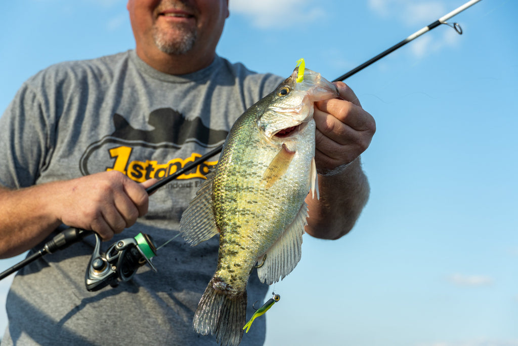Crappie Jigging Cadence: Swim, Pendulum, Hover, and Micro-Hops