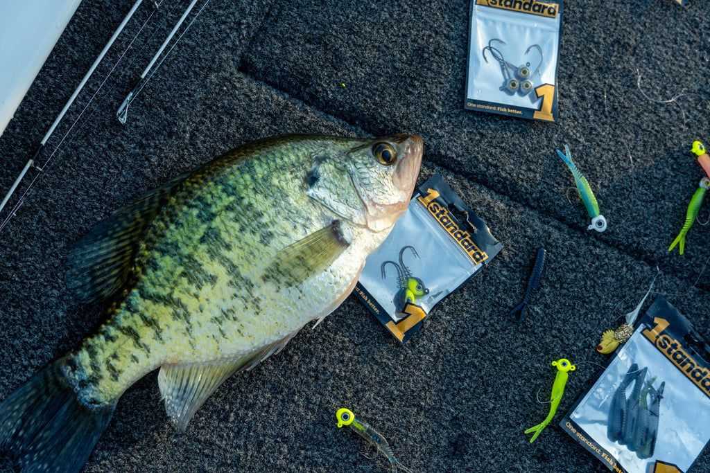 Crappie Plastics: When to Fish Subtle Minnow Profiles vs. Swimming Baits