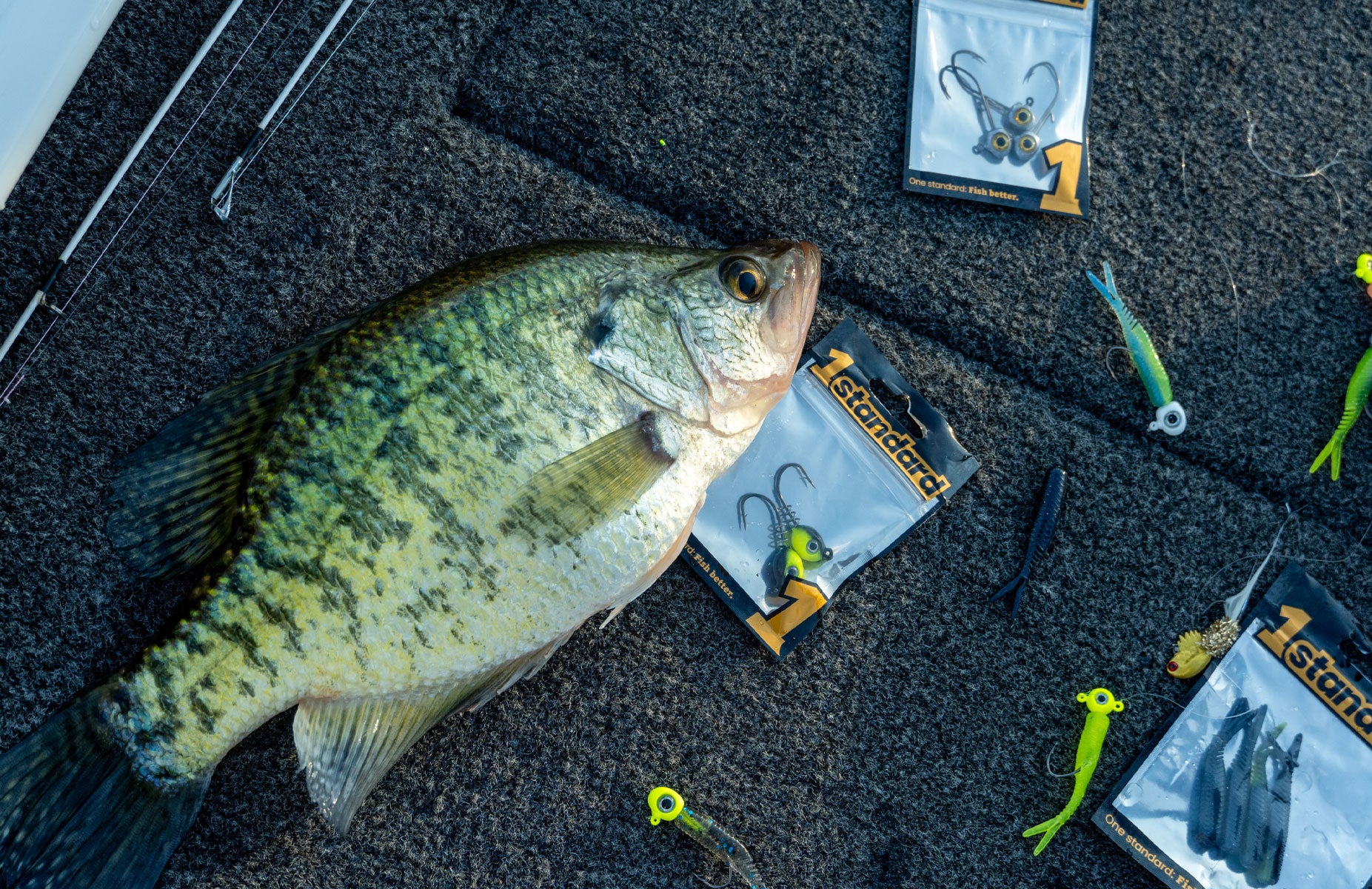 Standard Fish 1standard Fishing – 1Standard Fishing