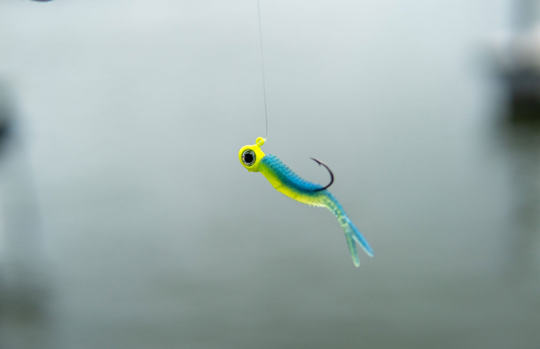 Standard Fish 1standard Fishing – 1Standard Fishing